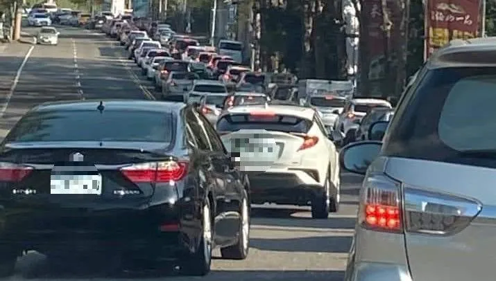 梅山變「龜」山？賞梅人潮車潮爆量塞爆梅山公園　5分鐘車程慘變1小時