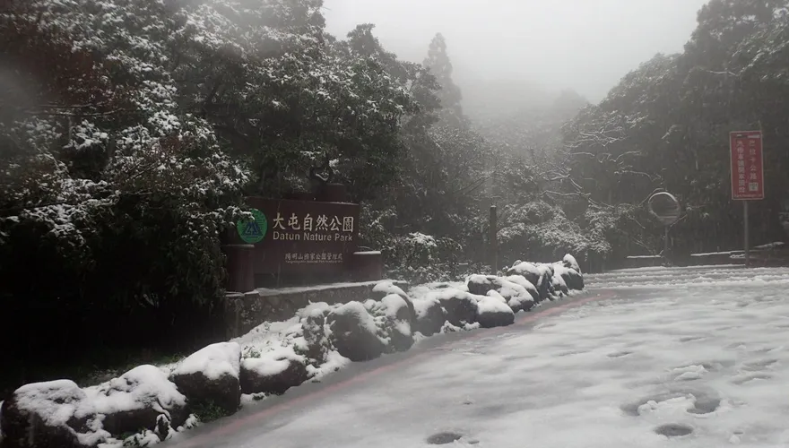 快訊/寒流來襲！陽明山、拉拉山「午夜前有望下雪」　車輛需掛雪鏈才准上山