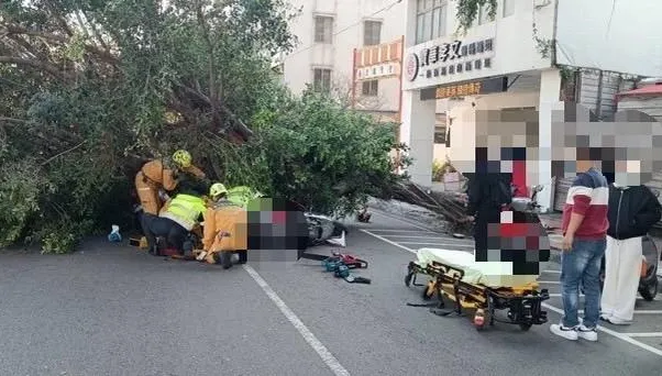 影/風好大！台中市爆兩起路樹倒塌意外　合計3人受傷送醫