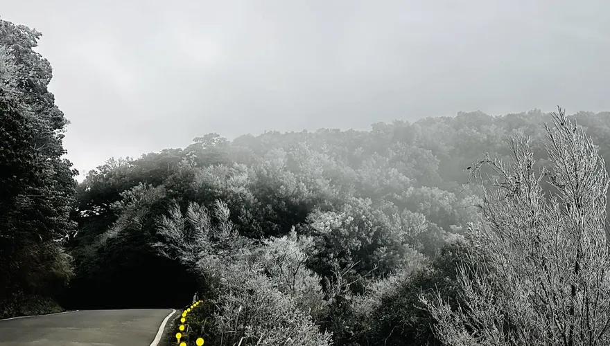 影/超美！新竹這裡也下雪「累積整晚」　現場白茫茫一片…現場照曝光