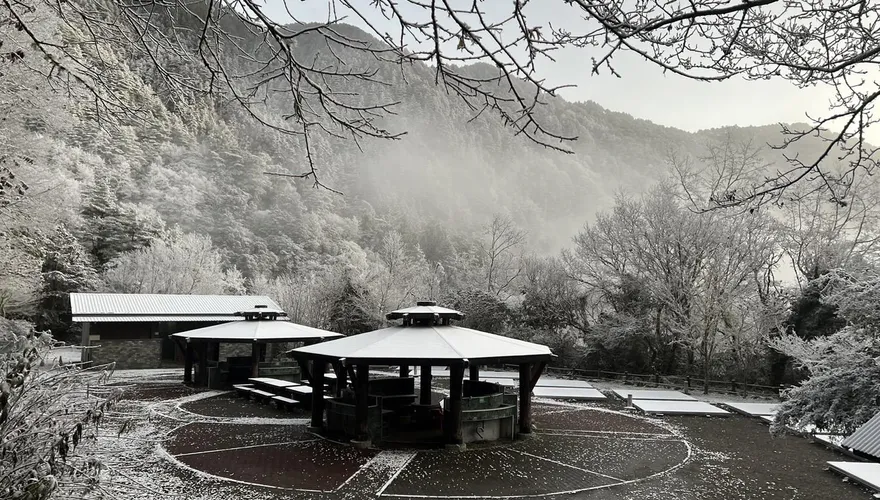 快訊/年獸寒流來敲門！南橫降下絕美雪景　向陽山區成銀白世界