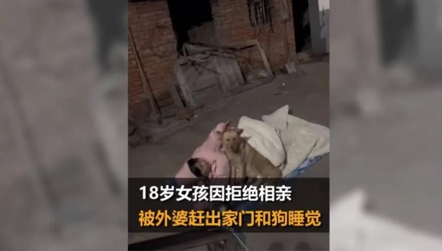 18歲少女拒相親「遭趕出家門」　零下低溫「戶外躺地抱狗睡2天」