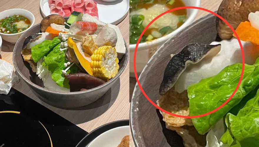 火鍋菜盤噁爬「肥大活蛞蝓」！她一夾還在蠕動…網驚：小心要人命