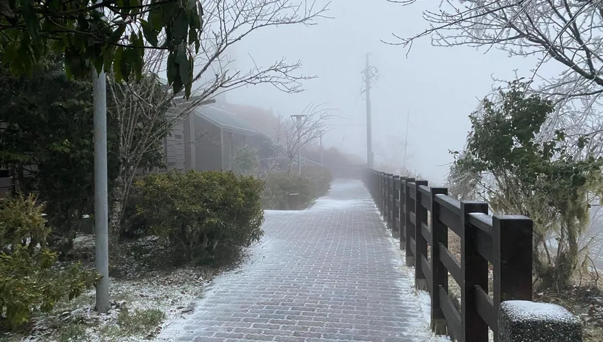 影/寒流來襲！太平山下冰霰再現雪白美景　啟動春節第2波管制措施