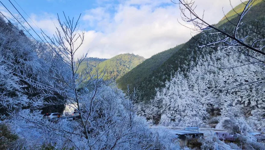 影/台七甲線思源埡口下雪了！武陵農場化身銀白世界　追雪族嗨翻
