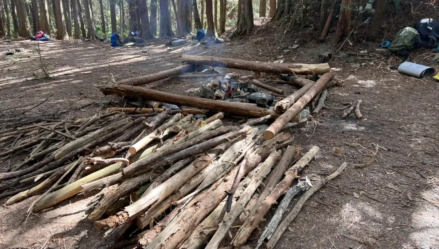恐吃牢飯！八仙山造林地辦營火晚會　21人遭查送辦「最重罰600萬」