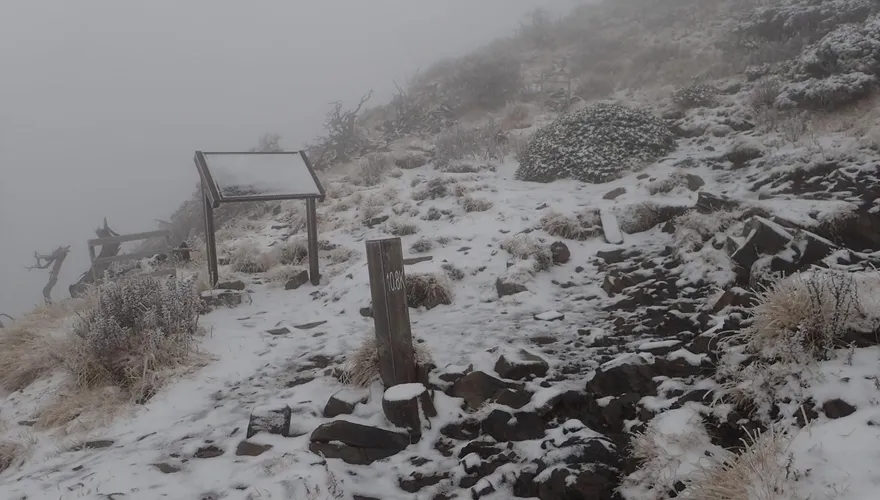影/雪山今飄雪了！積雪2至5公分　銀白世界超壯觀
