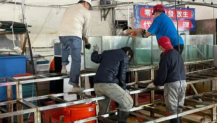 花7千買了個噁！基隆八斗子這商家竟賣「腐臭帝王蟹」　市府查為累犯斷水電禁營業
