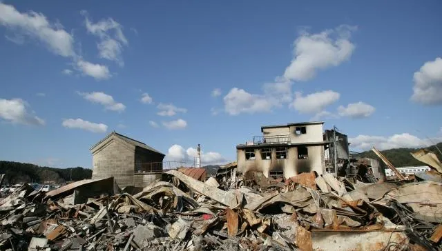 地震前23天「牠們」就有感！醫揭地震爆發前的「1現象」真相