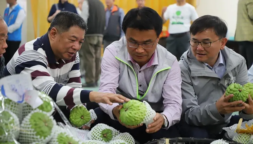 鳳梨釋迦滯銷又跌價引農民焦慮　網友獻計：班班吃釋迦