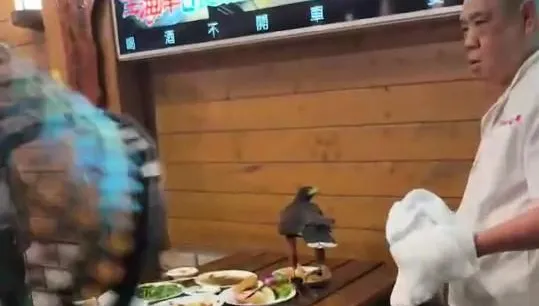 影/天降活蝦餐廳「搶食」霸桌！民眾驚呼「是老鷹耶」　老闆菜籃伺候