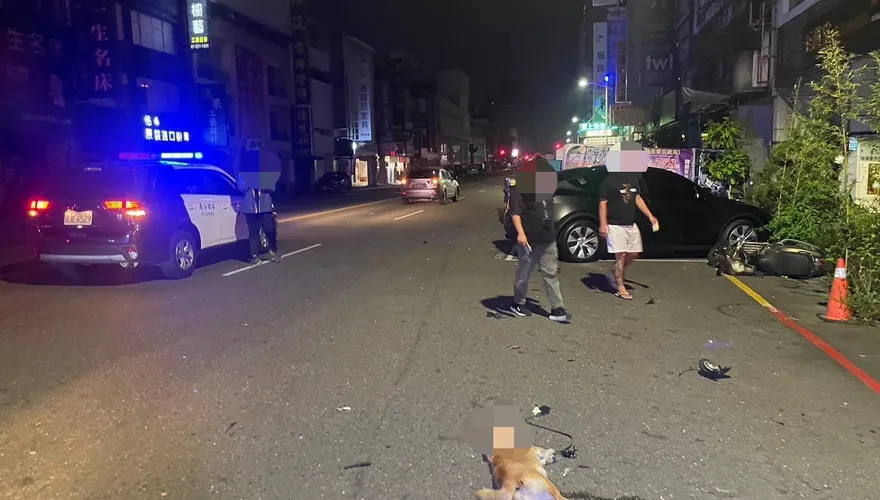 影/愛犬兜風被撞死！高雄女半夜騎車慘摔　男開車搶快肇禍