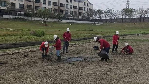 台南超乾！公園「滯洪池大乾涸」現場躺平400魚屍
