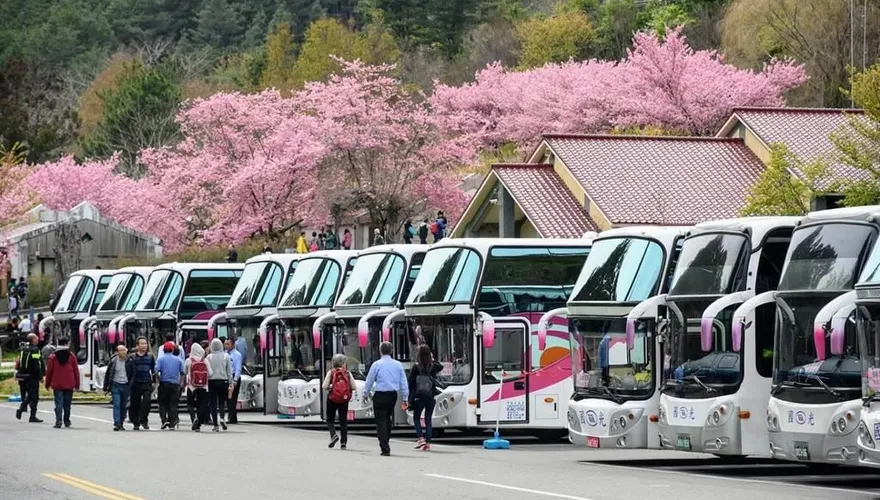 228連假逢花季恐湧車潮！高公局「交通管制措施」一次看
