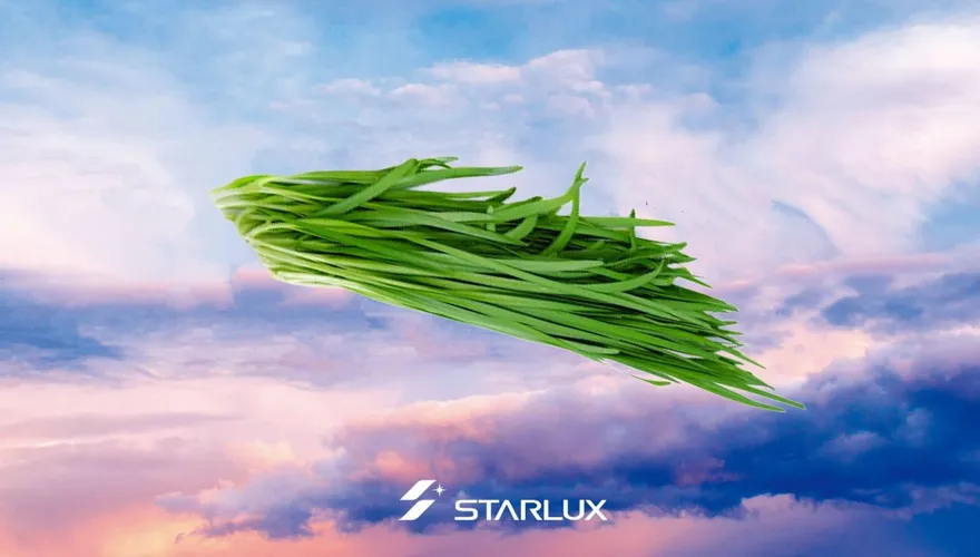 散戶又被割韭菜！星宇航空今股價重挫　追高投資人全套