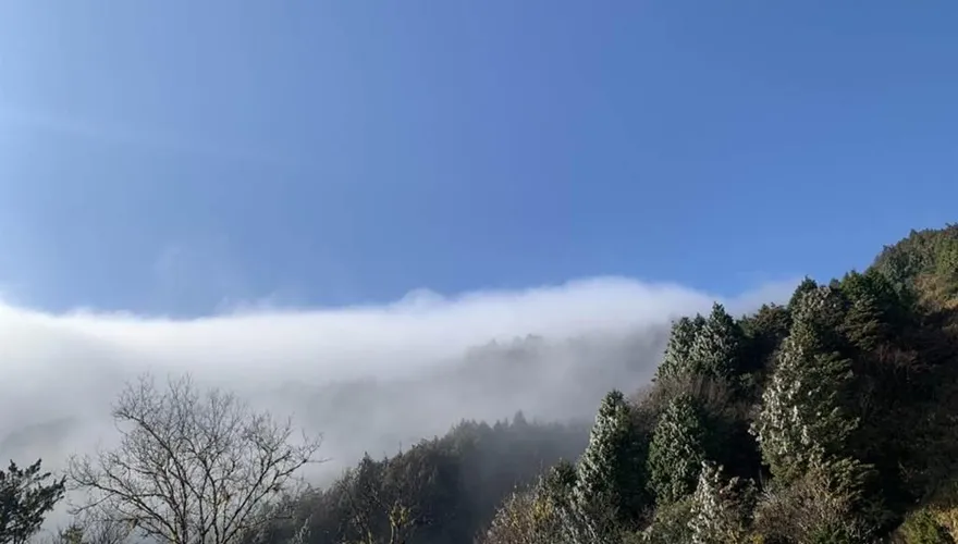 影/結冰世界變夢幻仙境！ 太平山湧現罕見雲瀑