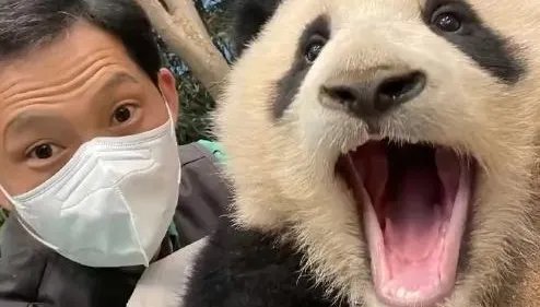 兩樣情！南韓福寶被飼養員寵成「小公主」　受封「全網最幸福大貓熊」