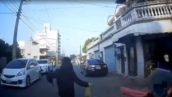 差點杯具！台南西港倒楣的她車開到一半「迷你三寶」突竄出　急煞險釀「駕駛地獄」
