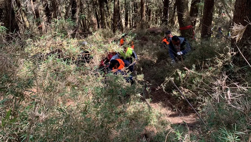 影/登山接駁車翻覆山谷！　8人送醫、司機死亡