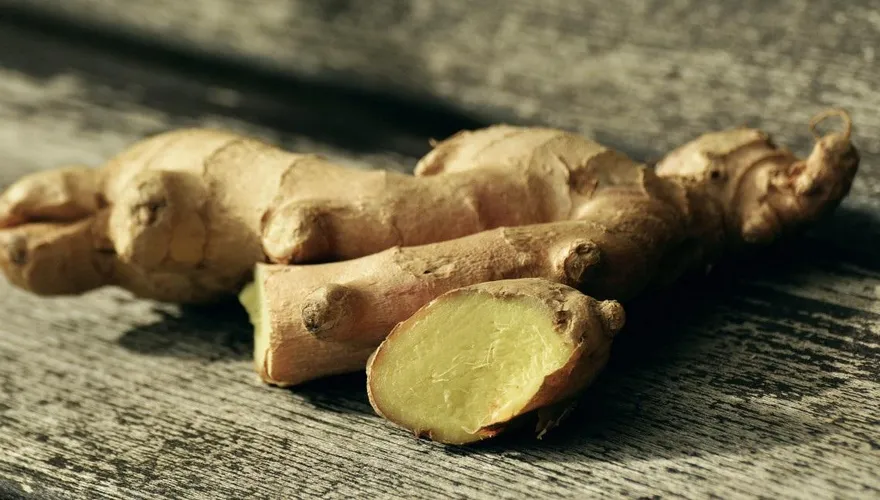 生活小妙招！薑怎麼保存才對？ 農糧署：這種不必放冰箱