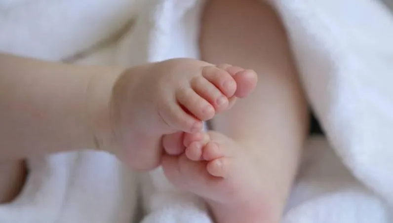 同性生殖將成真？日本幹細胞專家以「雄性細胞」培育卵子！成功誕生7幼鼠