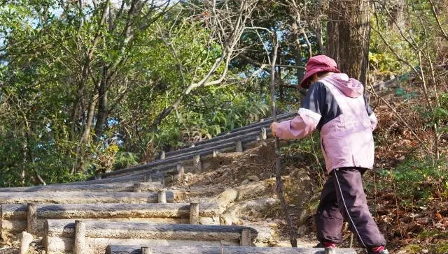 登山也不怕便秘！營養師排便「順暢6撇步」平時這樣練習就好