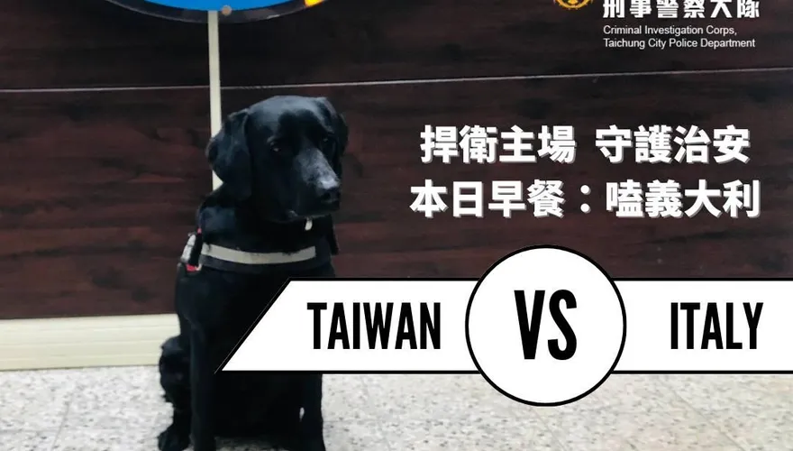 WBC棒球經典賽/中華隊戰義大利！警犬「海嗑披薩」吃超乾淨…用嘴巴挺國球