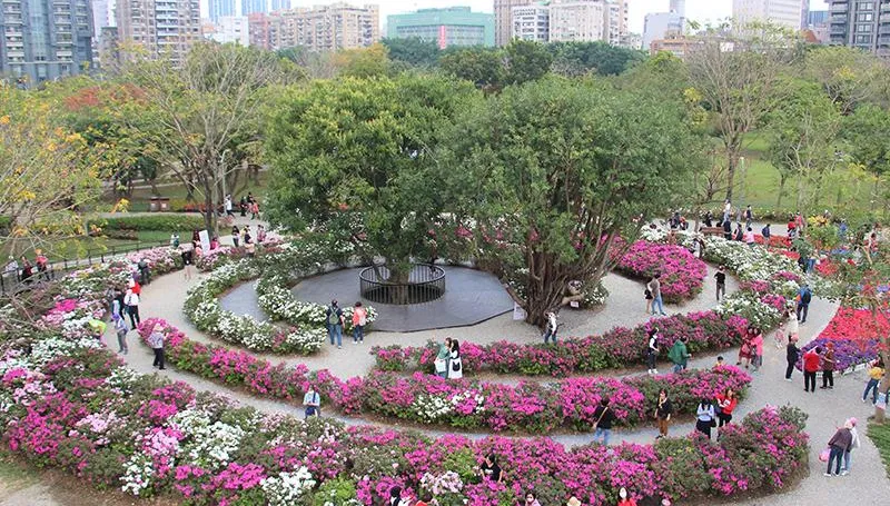 3月台北走春趣！明起賞「蝴蝶花毯」　大安森林公園野餐伴花香