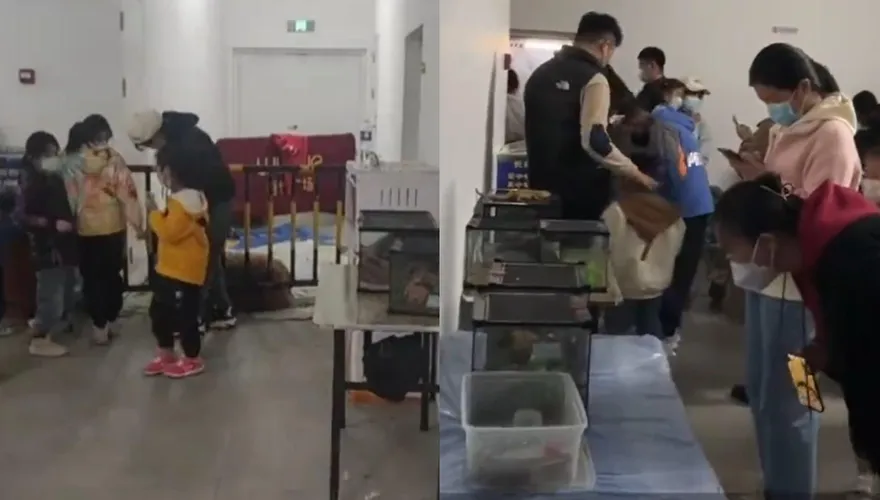 影/海洋展出現羊駝！她怒控花110元像在客廳看「魚缸」　商場回應來了：外包項目