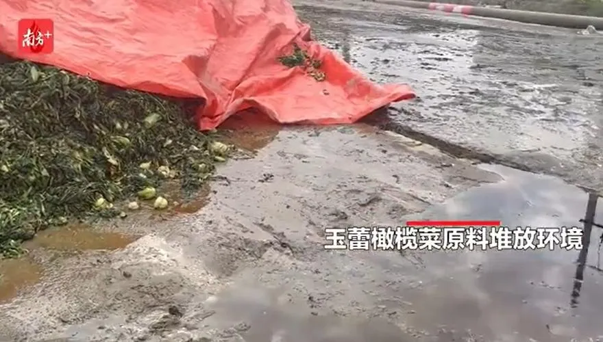影/葉菜發黑混汙水飄「腐臭」味　陸知名醃菜廠生產環境曝光噁爆