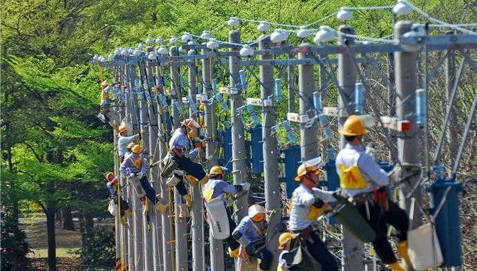 同棟不同運！民眾住透天大樓竟收到「0元電費單」