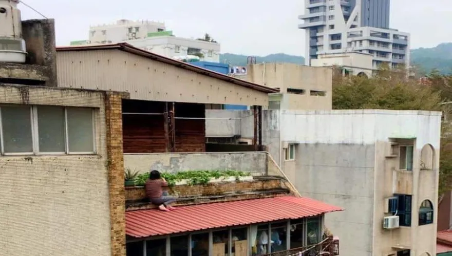 腳底會剉！直擊阿嬤扮蜘蛛俠秀5樓遮雨棚種菜　網笑：「捉迷藏太厲害」
