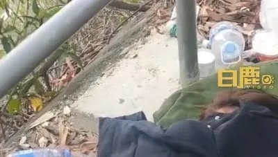 影/95後女子失聯8年流浪荒山被尋獲　抗拒求助原因曝光...網友心酸發聲