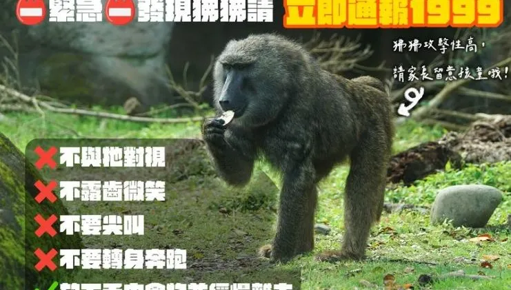罵人新詞彙？她臉書批表妹像「狒狒」　下場芭比Q了