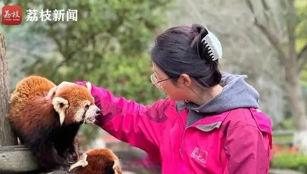影/開心比薪水更重要！設計師裸辭不幹　轉行從事動物飼養員
