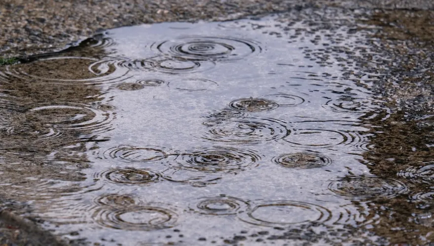 快訊/傾盆大雨！補班日午後突變天　上班族買午餐淪落湯雞