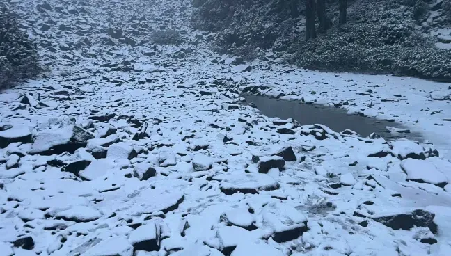雪山也飄「3月雪」！厚度5公分步道都結冰、山友超驚喜
