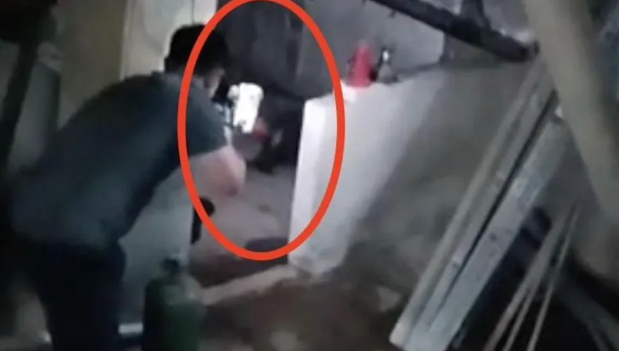 狒狒成槍下亡魂！直擊圍捕現場　農業局補麻醉槍畫面曝光