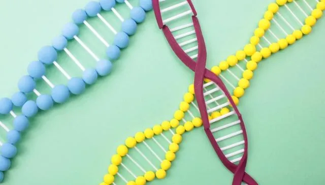 預測未來會得什麼病？北榮破解「基因密碼」精準處理　預防疾病發生