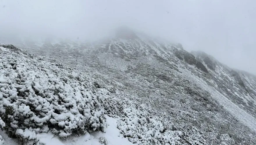 快訊/雪山罕見下4月雪　這不是愚人節新聞
