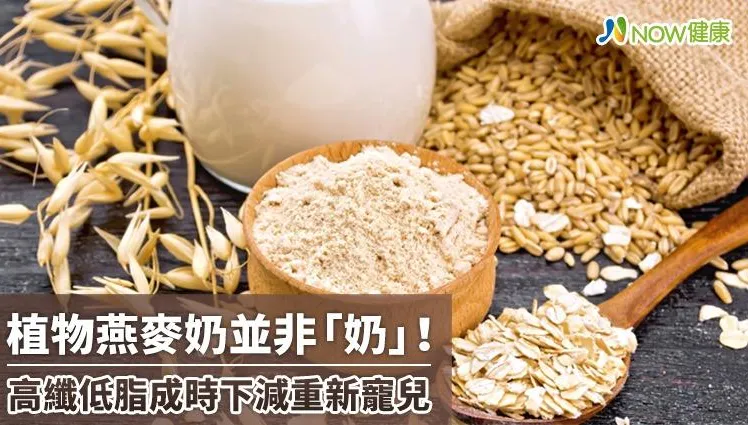 「燕麥奶」似奶非奶？相較牛奶更低脂　時下減重好夥伴