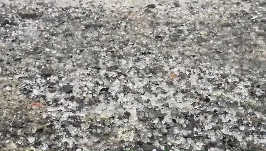 快訊/玉山下冰雹！　晶瑩雪白景象曝光
