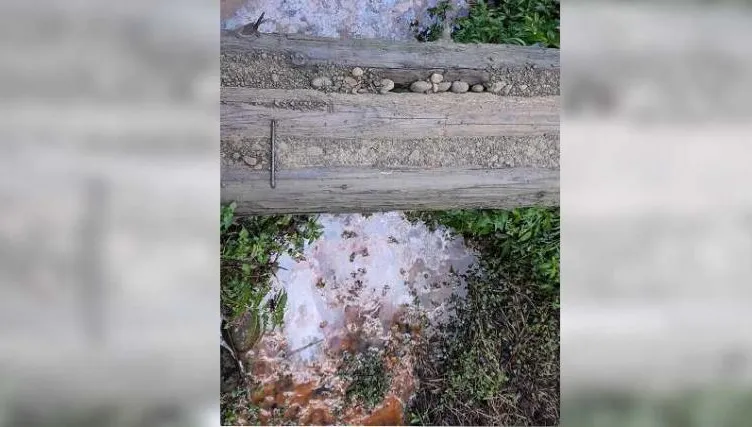阿里山秘境「屎水堆積」遍地小白花！始作俑者是「它」…山友怒噴：比夜市還髒亂