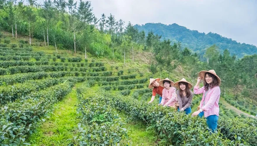 影/迎接春暖花開！　新北13大亮點周末邀你享受美好時光