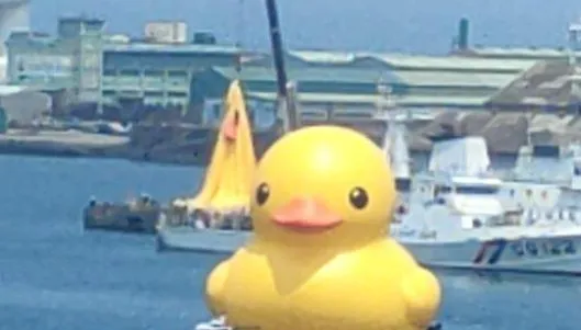 影/基隆港再現黃色小鴨！路過民眾驚喜搶拍　嗨喊：快來看
