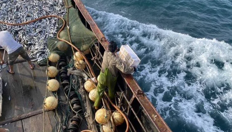 大陸漁船越界捕魚！苗栗外海押回1船11人　2千公斤漁獲全海拋