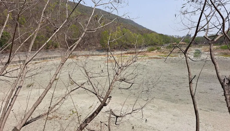 高雄旱象地裂開！半屏湖濕地裸露見底　柴山湧泉乾涸