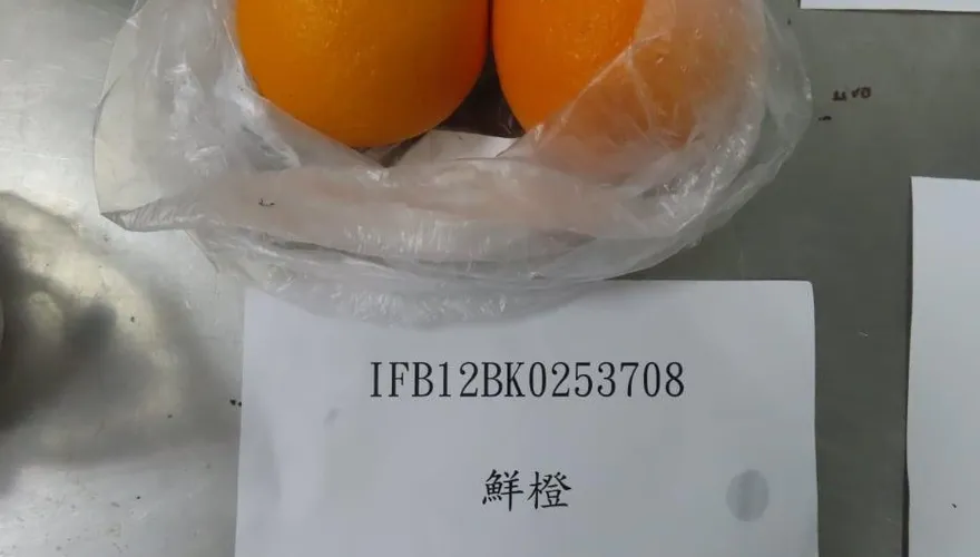 快訊/香吉士鮮橙農藥超標！逾2.3萬公斤全數退運銷毀