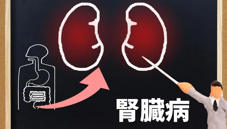 慢性腎病成因6大項「病況進展分5期」　醫曝護腎8原則：減輕負擔