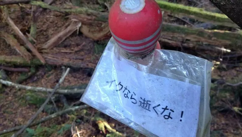 日本「輕生聖地」掛滿謎樣飛機杯　搭配暖心小卡奇葩勸世